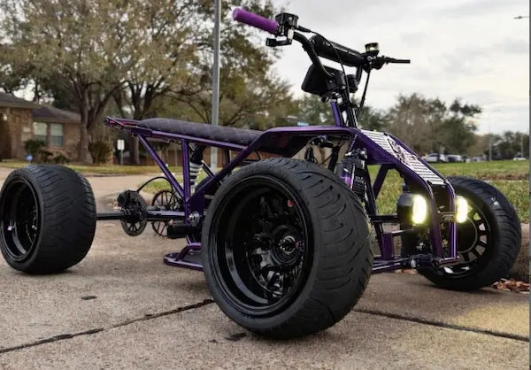 Custom Purple Electric Quad for Sale
